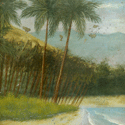 Tropical Scene